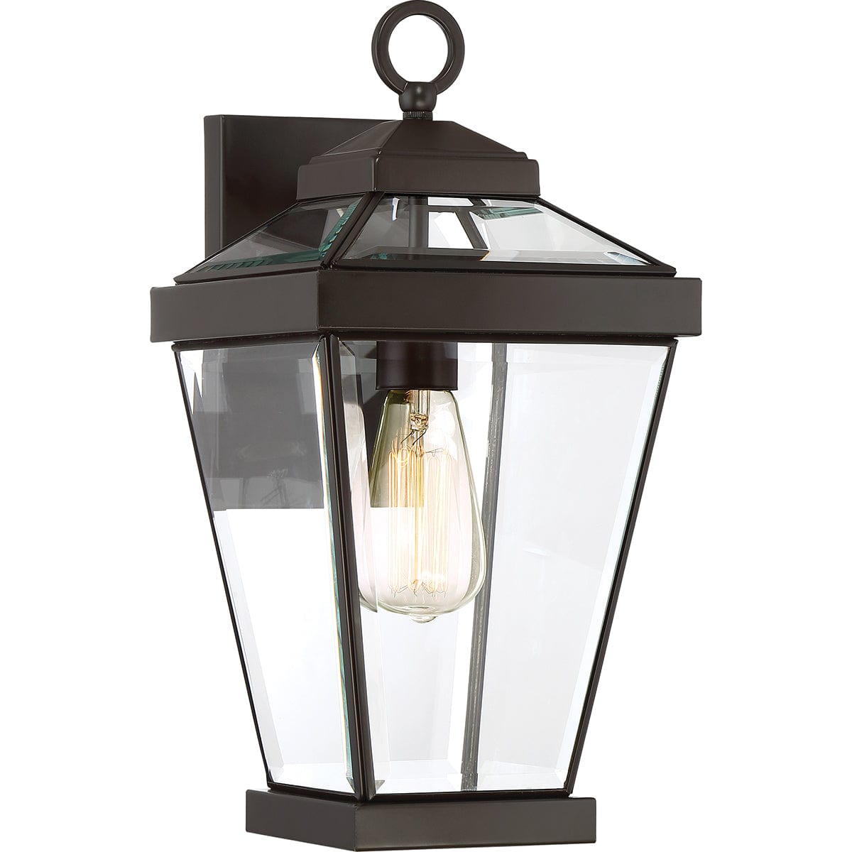 Quoizel Ravine Medium Bronze Outdoor Wall Lantern QZ-RAVINE2-M